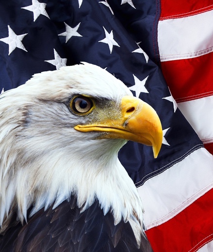 American Eagle - Symbol of Freedom